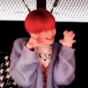 Meet your Posher, Yoshi